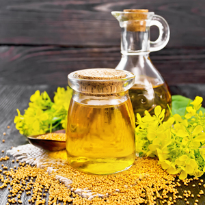 Proveedor Directo de Aceite de Canola Refinado Natural, Exportación a Granel en Bidones y Botellas para Distribuidores Globales y Compradores Industriales - Product Image 6