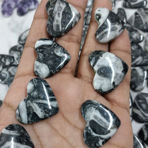 ฟอสซิลพลอยเทียมทรงหลวมสำหรับประดับอัญมณี - Product Image 6