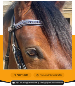 2022 Offre Spéciale Édition Limitée Snaffle Bridle Dressage Brides Meilleure Qualité En Gros Cheval Bride Multifonctionnel - Product Image 5