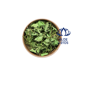 ใบบัวบกแห้งขายส่งจำนวนมากสำหรับตลาดโลก - Product Image 1