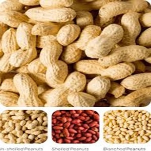 Proteína Vegetal de Maní Crudo Natural a la Venta a Precio de Mayoreo - Product Image 1