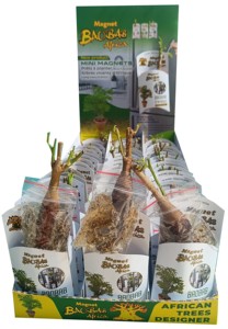 Kit magnétique mini baobab prêt à planter (poudre de baobab, feuilles de baobab, huile de baobab, pulpe de baobab) - Product Image 5