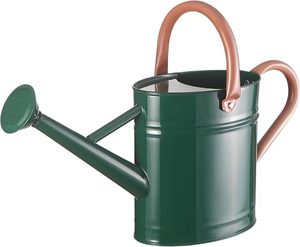 Arrosoir en métal vintage pour les passionnés de jardinage, arrosoir en métal fiable pour la croissance des plantes - Product Image 1