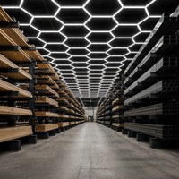 Lámpara Industrial de Techo Alto Tipo Panal para Almacenes, IP54 Impermeable, para Talleres y Centros de Distribución - 5