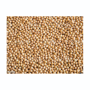 Good quality soya bean for White Hilum oil , <b>soybean</b> , <b>Soybean</b> Seeds with reasonable price in VietNam FREE TAX - Product Image 3