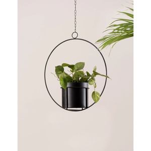 Nuevas macetas colgantes de pared negras antiguas, macetas colgantes de pared de hierro y Metal de calidad de lujo, contenedor de hierbas, macetas de plantas para gran oferta - Product Image 4