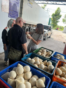 Noix de coco fraîche polie avec le meilleur prix FOB compétitif au Vietnam - Product Image 3