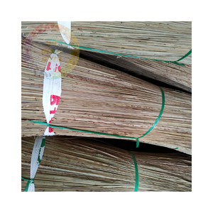 Palos de escoba de coco de primera calidad a precios competitivos al por mayor, perfectos para soluciones de limpieza ecológicas y sostenibles - Product Image 4