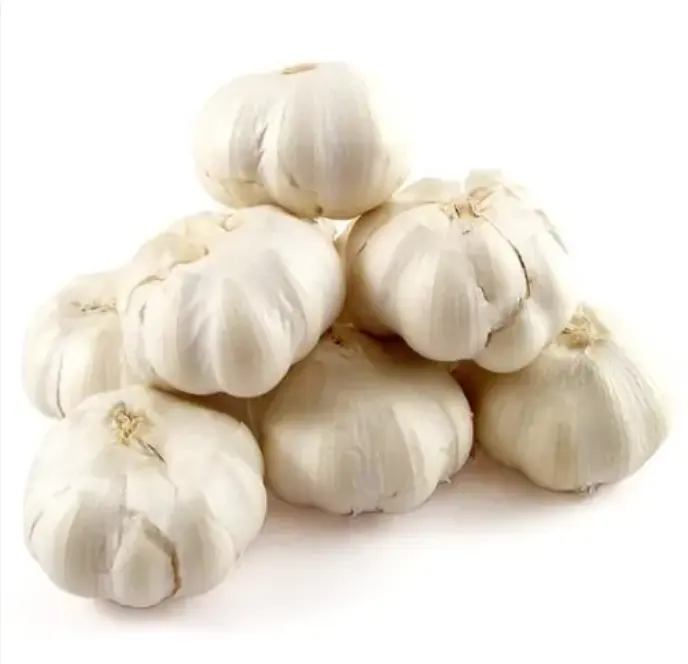 ثوم مزارع ثوم طبيعي أبيض طازج g1 في 10 كجم نمط محصول لون وزن أصلي نوع حجم المنتج