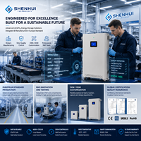 Batterie au phosphate de fer et de lithium 51,2 V 314 Ah à installation facile, plus de 6000 cycles, fonction de charge rapide pour équipement énergétique extérieur