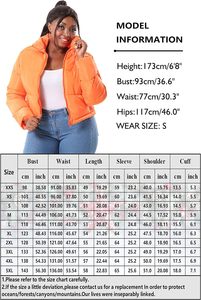 Vestes bouffantes imperméables d'hiver pour femmes avec logo sur mesure Manteaux courts avec matériau épais et chaud - Product Image 6