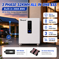 Système de batterie solaire tout-en-un LiFePO4 hors réseau 32KWH 20-30KW triphasé pour maison/villa/chalet avec CAN/WIFI et équilibreur 5A