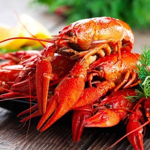 ข้อเสนอพิเศษ กุ้งเครย์ฟิชแช่แข็ง คุณภาพสดใหม่ สำหรับผู้ซื้อส่ง ผู้นำเข้า ผู้จัดจำหน่าย และลูกค้ารายใหญ่ - Product Image 4