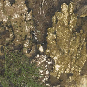 Chemise pour homme, vente en gros, 100% coton, manches courtes, camouflage couleur jungle, désert, forêt, t-shirt personnalisé pour homme - Product Image 6