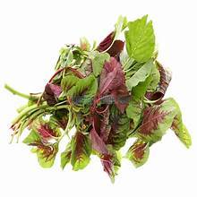 PURA HOJA DE AMARILLO CONGELADA NATURAL A BASE DE PLANTAS APOYO INMUNE ETIQUETA LIMPIA SUPERALIMENTO VEGETAL - Product Image 6