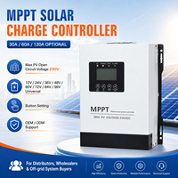 MPPT Solar-Laderegler 30A 60A 120A 230V PV-Eingang 12V-96V Batterie LCD-Display Tastensteuerung OEM ODM Lieferung