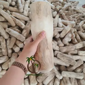 以最优惠的批发价为越南的狗生产安全的咖啡木玩具/天然咖啡木棒咀嚼宠物