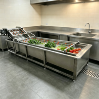 Commerciële groentewasmachine, industriële producten-bubbelreinigingsmachine