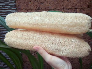 Material de lufa entera seca/almohadilla de lufa/esponja exfoliante de lufa de 99 Gold Data en Vietnam Esponja de lufa grande seca al sol - Product Image 4