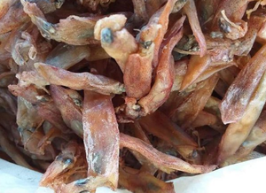 Calamar seco de calidad superior al mejor precio al por mayor de proveedores de Vietnam Calamar bebé sin sal crudo que exporta a granel sin aditivos - Product Image 3