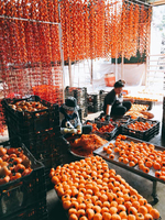 Vietnamese gedroogde zoete persimmon, gemaakt van vers rijp fruit, voor zachte snacks, groothandel, detailhandel en foodservice.