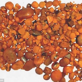 Оптовая продажа, индивидуальная фирменная марка, желчный камень для коровы, крупный рогатый скот, буйвол, корова, картонная коробка 50 г, 2 кг, 5 дней, желтый оригинальный целый сломанный желчный камень