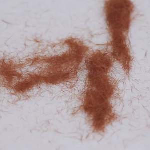 Recortador Profesional Automático para Eliminar Puntas Abiertas, para Cabello Seco, Dañado, Quebradizo y Encrespado, Herramienta a Batería para Hombres y Mujeres - Product Image 1