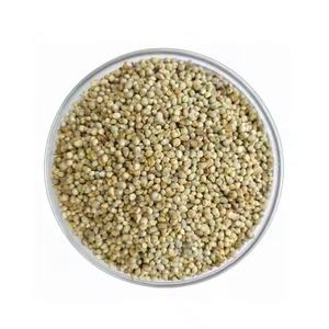 High Quality Yellow <b>Millet</b> Bulk Supply from India for Home Cooking Health and Nutritional Recipes Export - Product Image 2