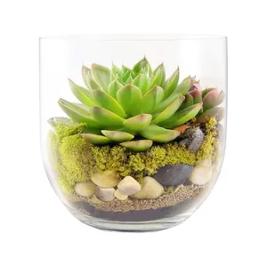 VBW3110 - Vase en forme de péninsule - 10 pouces - Product Image 2