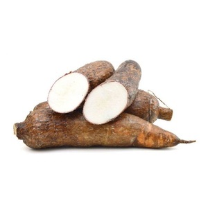 Prix attractif pour le manioc frais en gros - Product Image 1