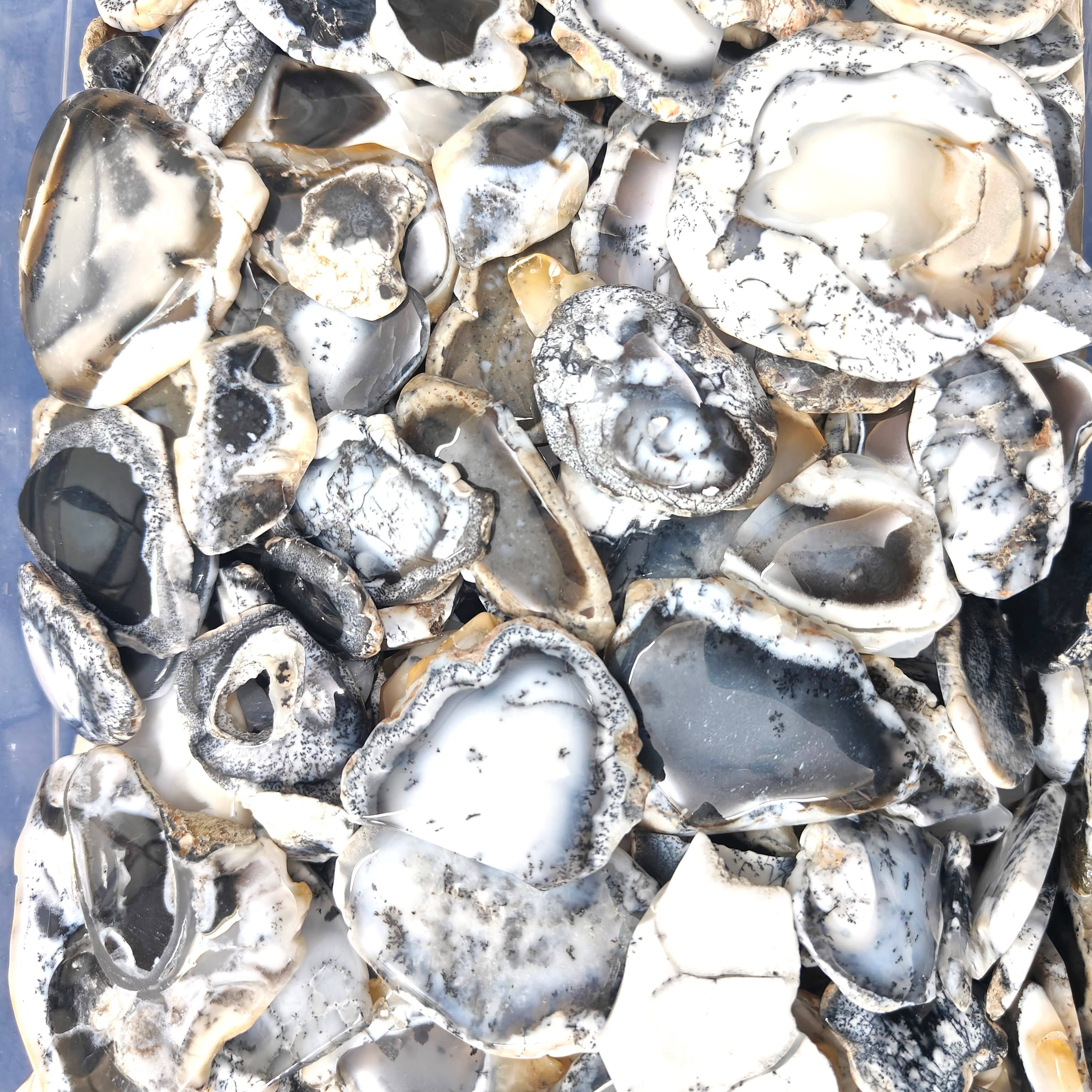 เห็นเป็นรูปภาพ