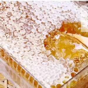 Miel de Abeja Natural Cruda en Panal, Miel Silvestre Pura Dorada 60% Brix, Miel Floral Fresca a Granel para Servicios de Alimentación y Venta Minorista - Product Image 6