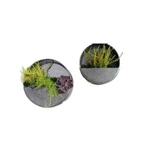 Maceta colgante de forma redonda galvanizada para interiores moderna, maceta redonda de Metal para pared de plantas para decoración del hogar con acabado oxidado - Product Image 2