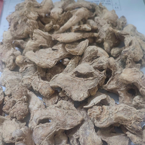 Producto agrícola fresco de raíz de jengibre seco a granel de alta calidad de Bao Tram Anh Company directamente de proveedor vietnamita - Product Image 4