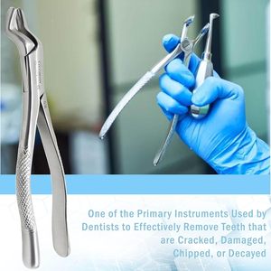Fórceps dentales para extracción manual de dientes Base para adultos y niños de instrumentos quirúrgicos fórceps de extracción dental - Product Image 6