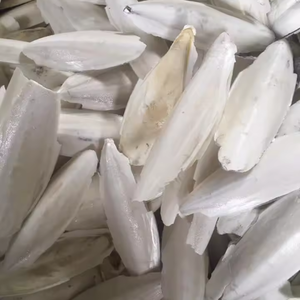 HUESO SECO DE SEPIA DE ALTA CALIDAD AL POR MAYOR PARA MASCOTAS Y REPTILES - Product Image 4