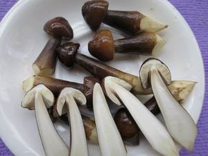 Champignons de termites, spécialité vietnamienne riche en nutriments - Product Image 4