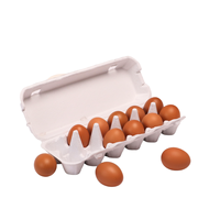 Recién llegados, caja de 2024 docenas de huevos con pulpa de papel moldeada biodegradable, caja de huevos degradable a precio barato hecha en Vietnam