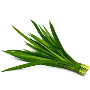 Nuestras hojas de Pandan congeladas conservan su esencia pura - Product Image 1