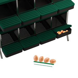 Recogida de Huevos Conveniente con Des Champs MG04D-L: Nido de Ocho Compartimentos para Uso en el Patio Trasero - Product Image 1