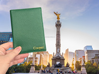 Juego de Etiquetas para Pasaporte y Equipaje Personalizables de Cuero Genuino Ecológico - Regalo de Lujo, Suave y Elegante para Ella y Él LPT-0025