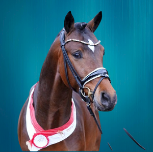 High Quality Diamante <b>Chain</b> Horse Bridle <b>Top</b> Wholesale Leather Product - Product Image 1