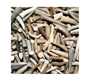 Bois de cerf rouge naturel à vendre approvisionnement en vrac bon marché idéal pour l'artisanat Pet Chews Home Decor et médecine traditionnelle - Product Image 6