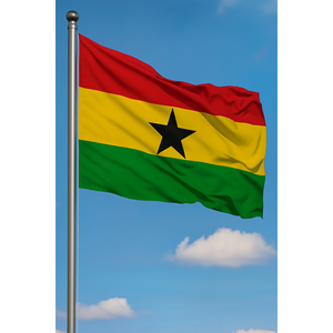 Custom Digital Print <b>Flag</b> with Aluminum <b>Pole</b> Pennant Style Made Nylon Polyester <b>for</b> Automotive Insurance Education Industries - Product Image 3