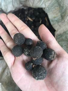 Naranja joven seca de la mejor calidad y precio competitivo de proveedores vietnamitas para exportación - Product Image 2