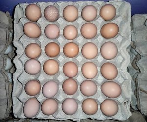 Huevos Frescos de Gallina de Granja, Venta al Mejor Precio - Product Image 3