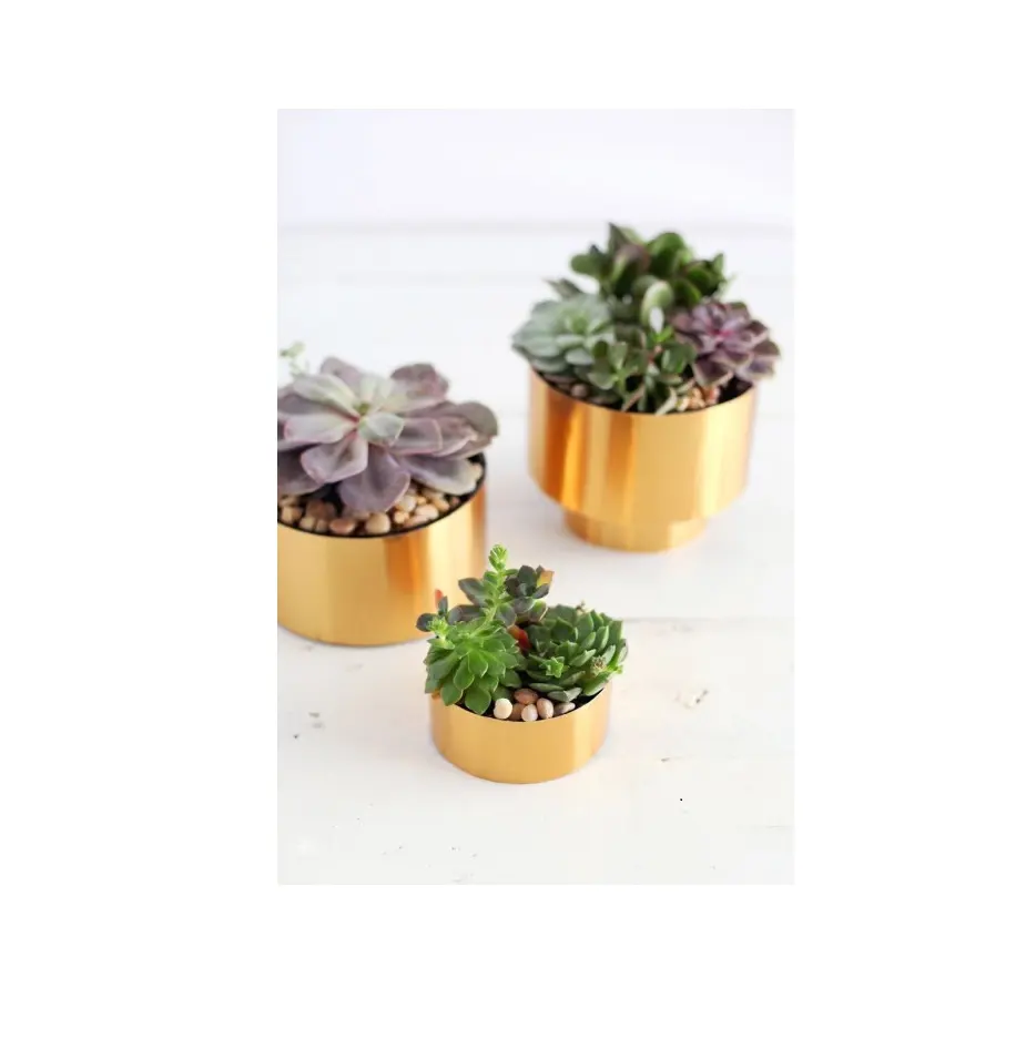 Best quality brass plant pot creative design eye pattern modern succulent pot small flower pots for plants
