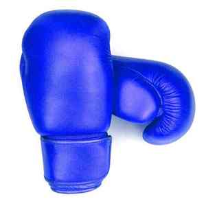 Gants de boxe professionnels de 12 oz pour MMA, Muay Thai, entraînement de combat, gants de frappe disponibles à prix avantageux - Product Image 2