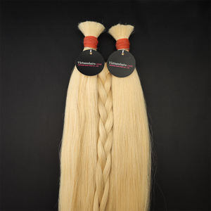 Couleur personnalisée Vierge Remy Trame Extensions de Cheveux Soyeux Lisse Prêt à Expédier Meilleur Prix sur Vietnam-Paquets de Cheveux Humains Bruts - Product Image 1