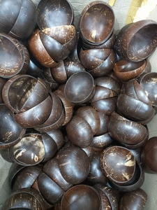 Bol en coque de noix de coco brute de haute qualité, écologique, pour servir des aliments, fabriqué au Vietnam, 2025, à prix compétitif - Product Image 4